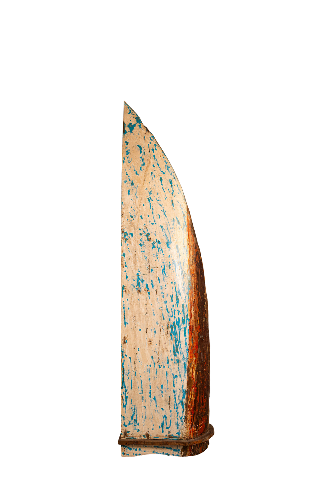 Shipwreck Bloom