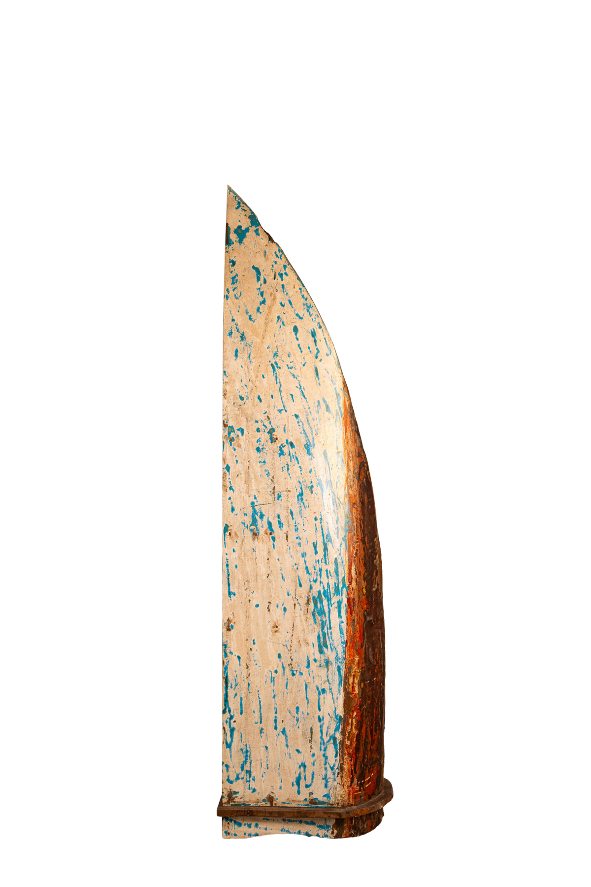 Shipwreck Bloom